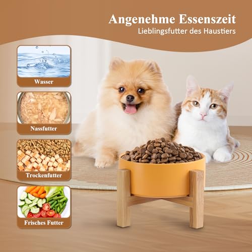 Erhöhter Futternapf aus Keramik für Katzen - Katzennapf mit Napfständer aus Holz und rutschfesten Füßen - Fressnapf aus Keramik für Katzen und Welpen - Für Futter und Wasser - 400 ml - Weiß