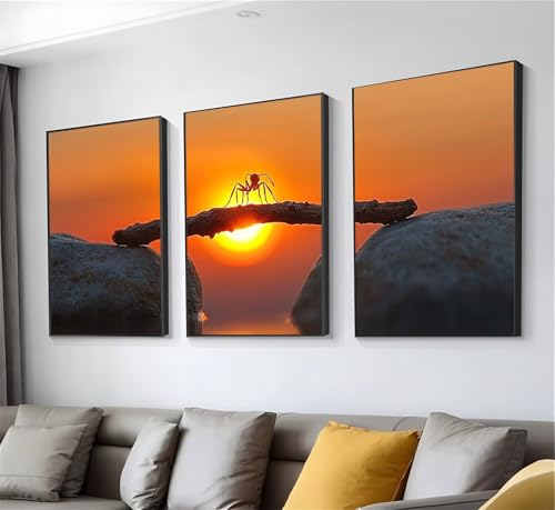 Diamond Painting Adulte Coucher de soleil Fourmi | 3 Pièces DIY Full Drill 55x80cm