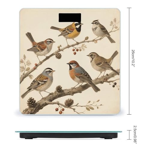 Báscula de baño digital Vintage Bird LCD 400 lb miniatura 2