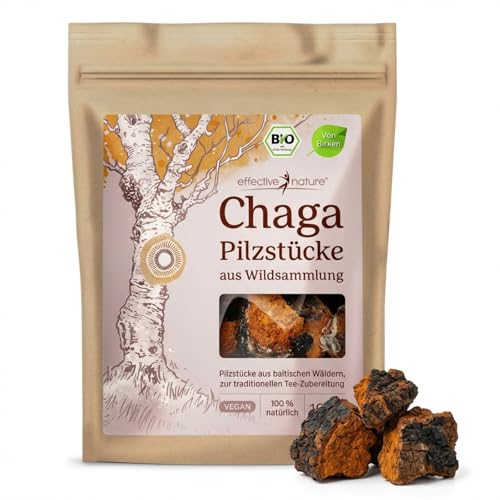 effective nature Bio Chaga Pilz Brocken 100g - Wild geerntet aus estnischen Birkenwäldern - Vegan & Rohkostqualität - Ideal für Chaga Tee & Chaga Kaffee