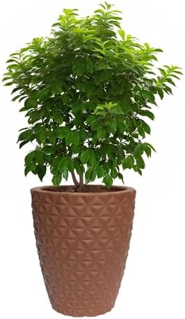 vaso planta decorativo coluna redonda diamante 3d casa e jardim v...