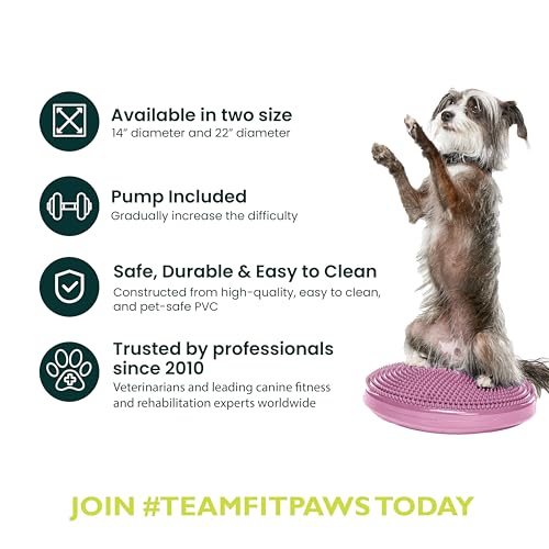 Fitpaws Balance-Disc für Hunde, 14', Violett