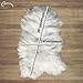 Vello D'Oro Genuine Icelandic Sheepskin | Real Wool Rug | All Natural Fur Pelt | Cozy, Warm, Romantic and Super Soft Lambskin Throw | European | Ivory White | 2' x 3'