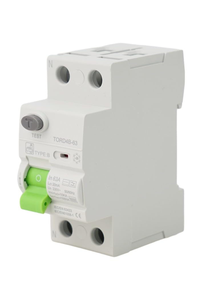 Tipo B RCD Interruttore 2P 63A 30mA 6kA DC RCCB EV Ricarica Stazione Pila Guasto a Terra per Protezione Sicurezza Elettrica