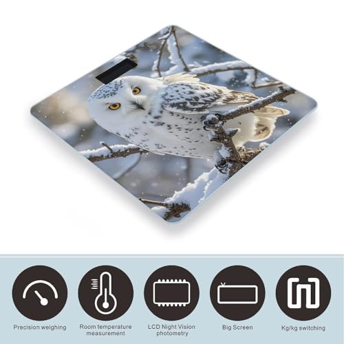 Báscula Digital para Baño Winter White Owl de Vidrio Templado miniatura 3