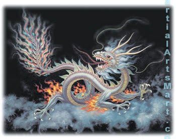 Tiger Claw Martial Arts T-Shirt - Dragon White