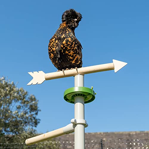 Image of Freestanding Chicken Perch | Sturdy Wooden Universal Roosting System | Exercise, Train and Treat Your Chickens! | Place Anywhere in Your Yard | Poultry Playground Kit