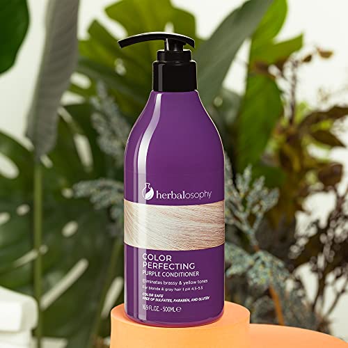 Herbalosophy Purple Shampoo & Conditioner Set, Toning Shampoo Conditioner For Blonde Gray Hair, Eliminates Brassy And Yellow Tones, Infused With Cocos Nucifera Oil For Both Men & Women, Free Of Sulfate, Parabens And Gluten, 2 X 16.9 Fl Oz #TOP5