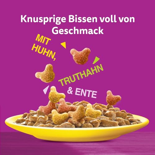 WHISKAS Crunch Katzensnacks Huhn, Pute & Ente 6 x 100g – Leckere Snacks mit Huhn, Pute und Ente