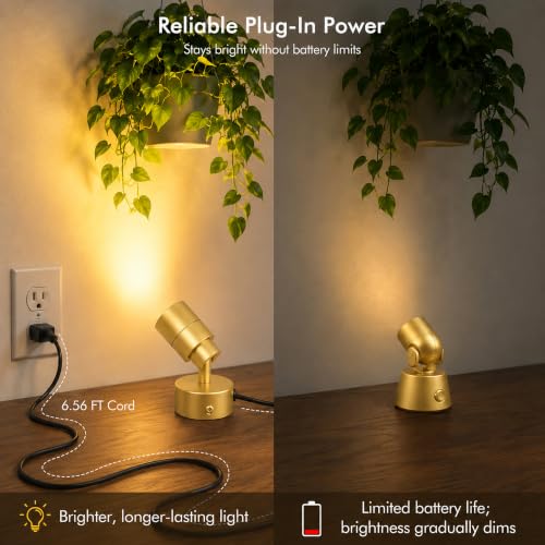 Image of 2 Pack LED Spot Lights Indoor, 3W Uplighting Indoor with Remote Control Dimmable and Timer, 3 Lighting Modes Spotlights, Accent Uplights Indoor Solid Wall Light for Plants Picture Artwork, Gold