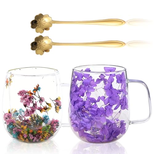 BORDEAG Tazas De Café De Vidrio De Flores Secas,Juego De 2 350 ML Vaso Doble ParedZ Con Cuchara,Taza De Café De Doble Pared,Vasos Doble Pared Transparente Para Té,Cerveza,Café Helado,Leche