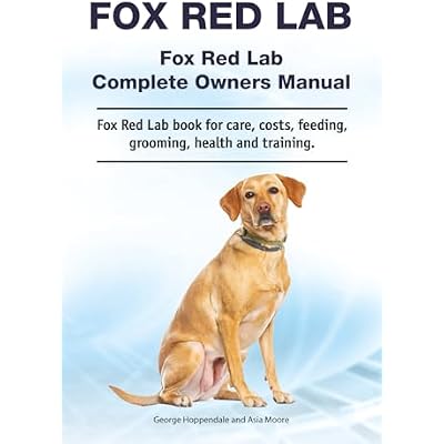 Fox Red Lab. Fox Red Lab Complete Owners Manual. Fox Red Lab book for care, costs, feeding, grooming, health and training.