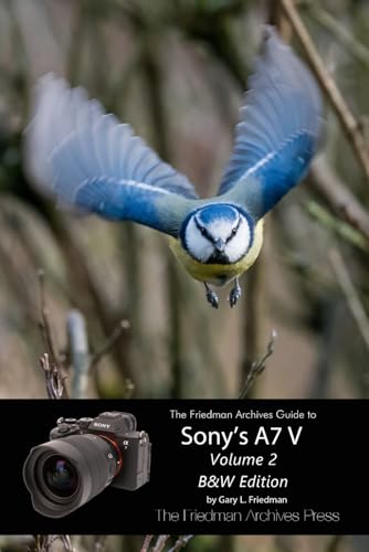 Guide Sony A7 V Volume 2 B&W Edition livre de Friedman Archives - 2