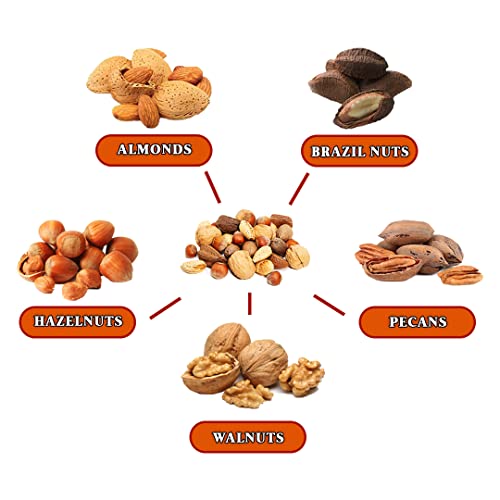 Presto Sales Gourmet Mixed Nuts In Shell 160 Oz. | Premium Holiday Gift Or Any Occasion | Brazil Nuts, Hazelnuts, Walnuts, Almonds And Pecans | Raw, Fresh, High Protein, All Natural Nuts Mix | Packed In 10 Lbs. Gift Box #TOP4