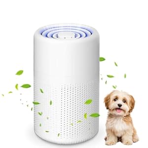 Purificateur d&rsquo;air Chambre, H13 HEPA Purificateur éliminant de la poussière, de la fumée et des odeurs d&rsquo;animaux, Air Purifier avec éponge parfumée, Air Purifier HEPA pour Maison Bureau