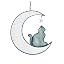 Grey Cat1