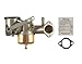 Briggs & Stratton 491031 Carburetor Replaces 490499