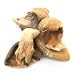 Dried Oyster Mushrooms - 16 oz. (1 lb.) Life Gourmet Shop