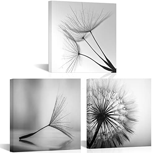 TiuAuiT 3 Pieces Black and White Canvas Wall Art Small Size Dandelion Picture Framed Artwork Flower Painting Prints for Kitchen Bedroom Living Room 12"x12"x3pcs