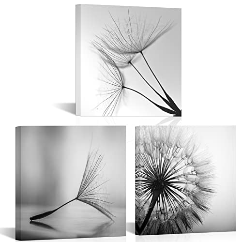 Tiuauit 3 Pieces Black And White Canvas Wall Art Small Size Dandelion Picture Framed Artwork Flower Painting Prints For Kitchen Bedroom Living Room 12"X12"X3Pcs #TOP3