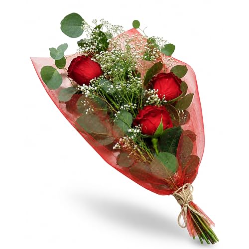 Ramo de 3 Rosas Frescas Naturales con Paniculata | Rosa Roja Para Ella | Detalle Romántico para Aniversario, Cumpleaños, San Valentín, Día de la Madre o Sorpresa Especial