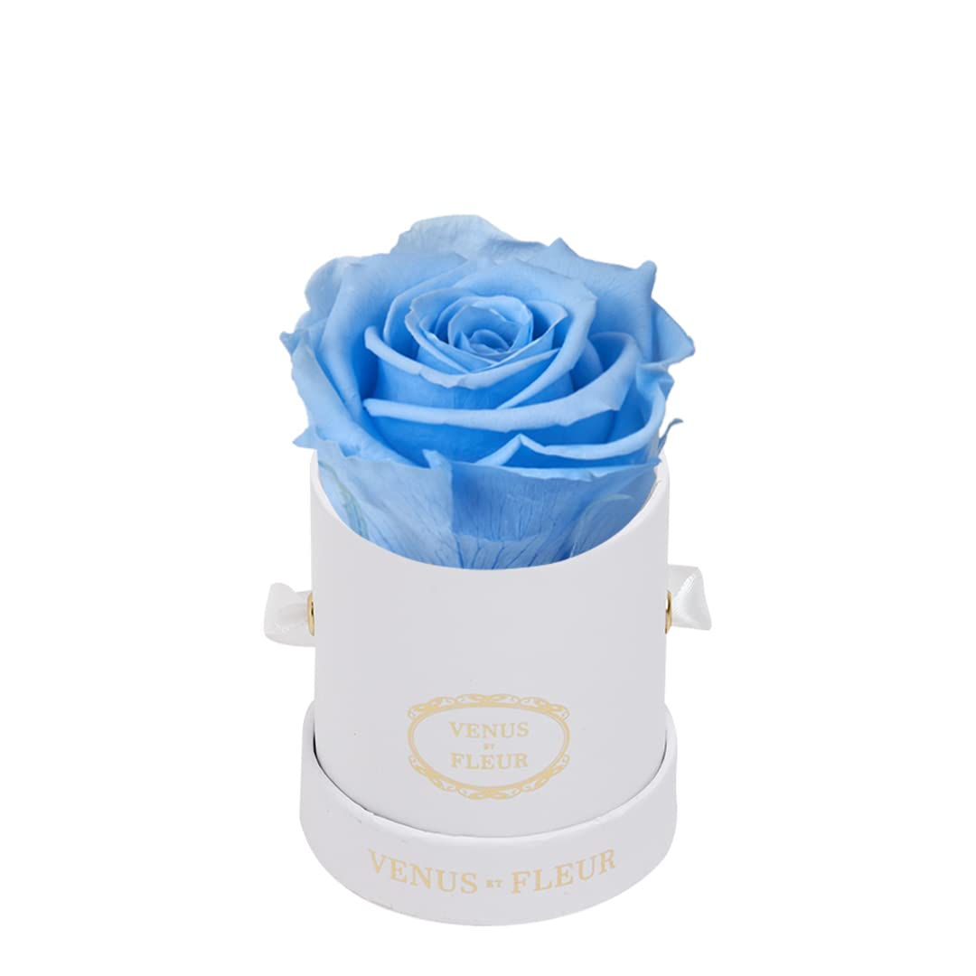 Venus et Fleur Le Mini Round Single - The Original Preserved