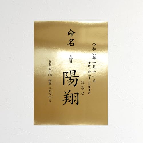 y؂ȋ̋PzA4TCY Fi C-1j~l[gH j̎q ̎q Ƃ̑ccɂ N o  OEӂ肪 gȄd