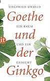 goethe gedichte interpretation  Goethe und der Ginkgo: Ein Baum und ein Gedicht (insel taschenbuch)