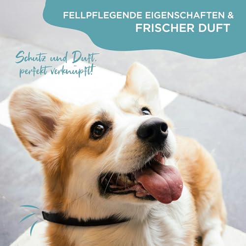 OptiPet 1x Ungeziefer Flohhalsband für Hunde, 4 Monate Schutz, für Hunde ab 12 Wochen gegen Flöhe, Zecken,Mücken, Milben