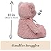 Baby GUND My First Teddy Bear, Ultra Soft Animal Plush Toy for Babies and Newborns, Pink, 10”