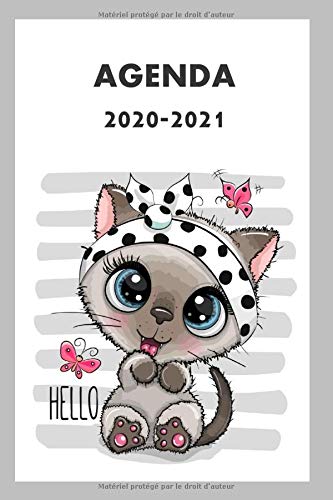 Télécharger AGENDA SCOLAIRE 2020 2021: Agenda scolaire chat pour planifier une année scolaire réussie Gratuit