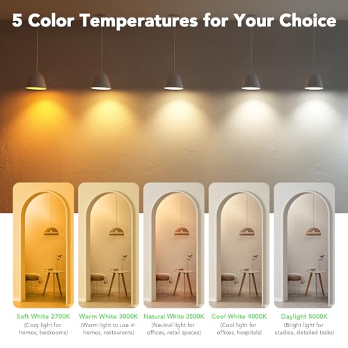 Image of BUBO 48 Pack A19 LED Light Bulbs, 60 Watt Equivalent LED Bulbs, Daylight 5000K, 800 Lumens, E26 Standard Base, Non-Dimmable, 8W Daylight LED Bulbs for Bedroom Living Room Home Office