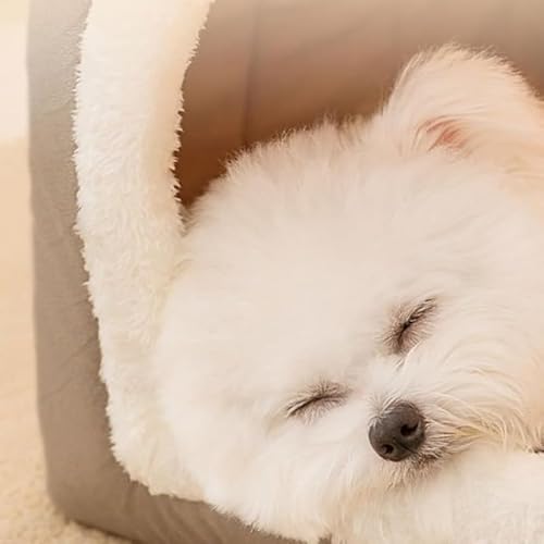 CokBlu 冬用ドーム型ペットベッド グリーン L サイズ 犬猫用保温クッション付き 洗える滑り止め 小中型犬猫寒さ対策