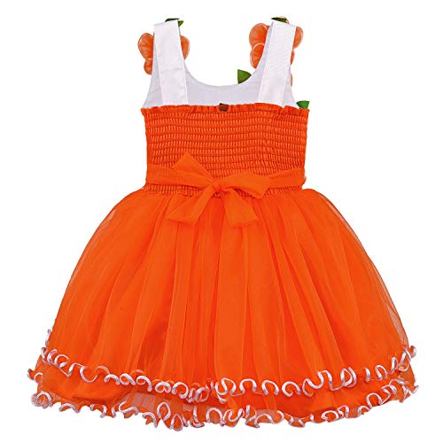 Image of Wish Karo Baby girl Knee Length Frock Dress