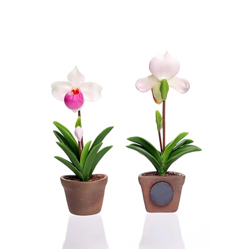 Set de 2 imanes decorativos orquídea Paphiopedilum 3D miniatura 6