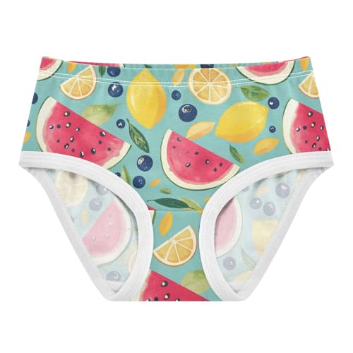 Wusikd Watermelon Lemons Girls' Underwear Cotton Blueberries Girls Briefs Soft Toddler Underwear 2T
