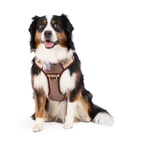 Reddy Canvas Dog Harness Tan Large