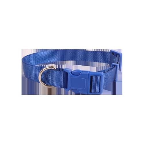 Robustes Halsband aus Edelstahl, wasserdicht, verstellbar, ideal für Spaziergänge und Training mit Haustieren.