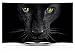 Produktbild LG 55EC940V 139 cm (55 Zoll) Curved OLED Fernseher (Full HD, Triple Tuner, 3D, Smart TV) silber