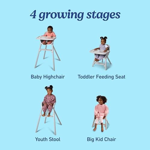 Graco Ready2Dine 4-in-1 Highchair, Portable High Chair with 4 Growing Stages, Foldable Baby High Chair, Toddler Feeding Seat, Youth Stool, and Big Kid Seat, Walker - image 2