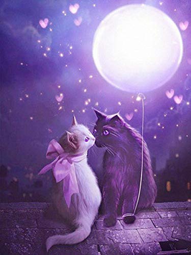 Point de croix toit noir et blanc couple chat kit cadeau créatif 5D