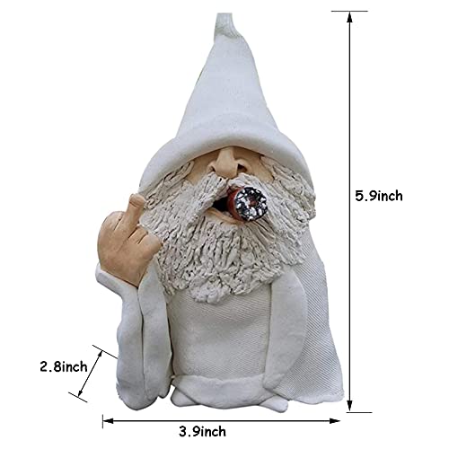 Tirifer Garden Gnome, Wizard Gnome 3D Dwarves, Polyresin Outdoor Sculpture Middle Finger Gnome Statue Garden Figurine Art Garden Decoration For Lawn Yard Balcony Porch Patio #TOP3