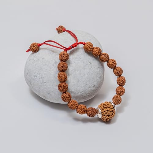 Image of 7 Mukhi Rudraksha Bracelet for Men and Women | Lakshmi Bracelet | Original Lab Certified Nepal Rudraksha Educating People About Rudraksha for Over 20 Years