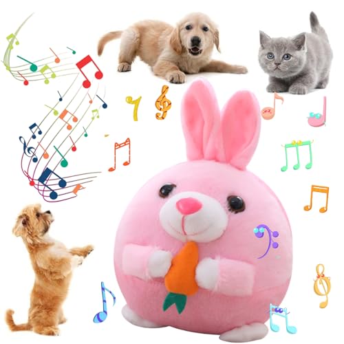 Geojec C^NeBûA2026 VANeBuړybgʂ,[dތ̃{[̂AbA􂦂閟̃ETM̂ʂ݌̎q(sNoj[)