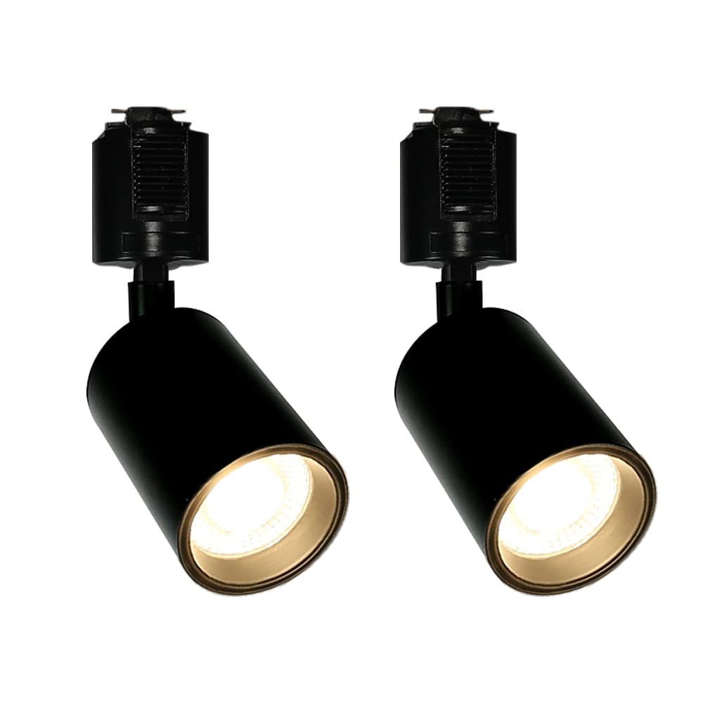 Allegro Lighting スポットライト ダクトレール照明　ブラック Amazon.co.jp : Allegro Lighting ダクトレール スポットライト ダクト