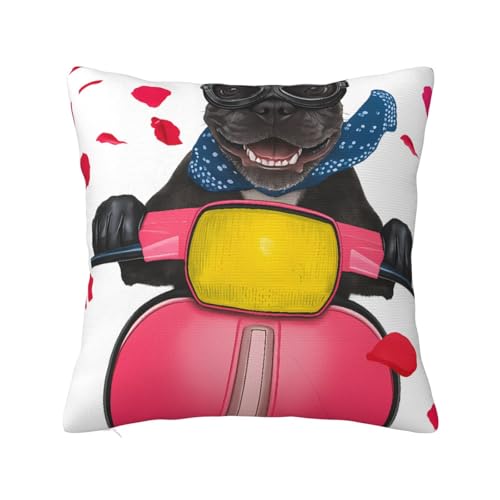  ԕ Jo[  Bt@Xi[ s[P[X 16"X16"