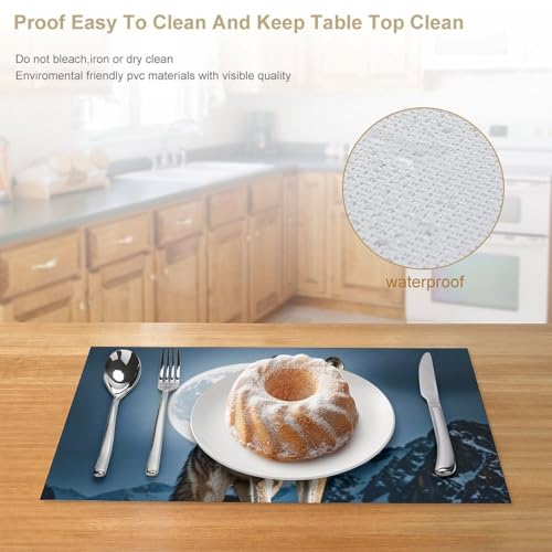 Set de table en PVC de qualité supérieure résistant et lavable en vinyle