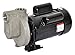 Self Priming Pump,1/2 HP,316 SS