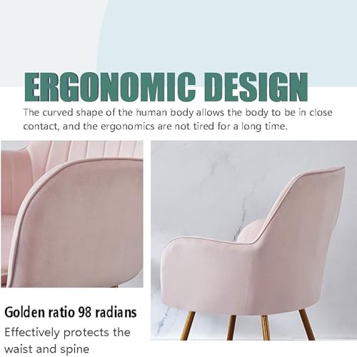 Image of Velvet Chair with Floral Pillow for Home | Modern Accent Armchair in Soft Velvet Fabric with Golden Legs | Set of 2 Premium Accent Chair for Living Room Bedroom Restaurent | (Baby Pink)