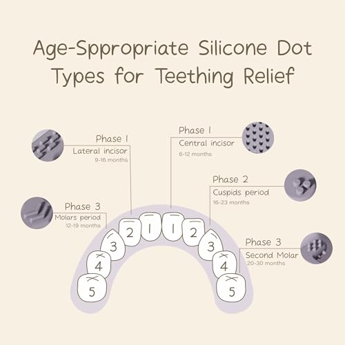 Image of Moonkie Teething Toy, Safe and Easy to Hold, Soothing BPA-Free Silicone Teethers, to Prevent Finger Sucking, Best for Babies 0-6-12 Months (Crocodile Sage, 1 Pack)